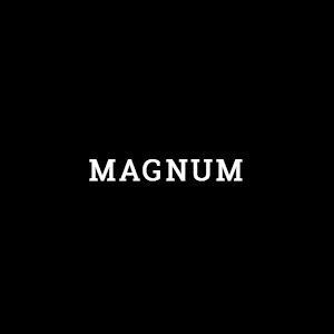 MAGNUM CARTRIGES